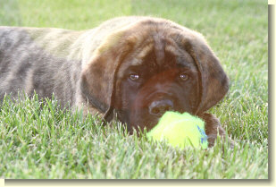 Parker at 8 weeks