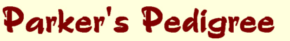 Parker's pedigree